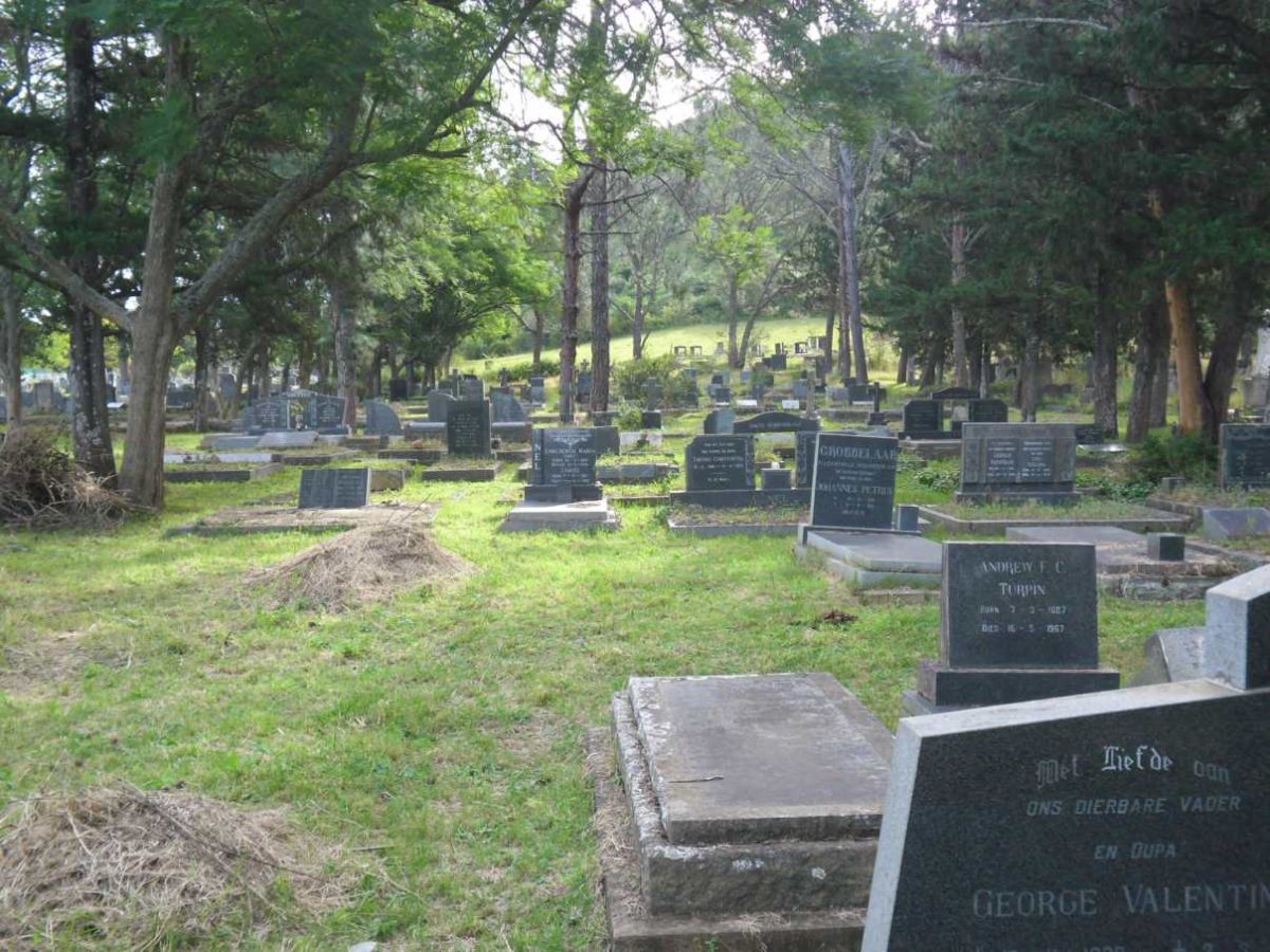 5. Overview 