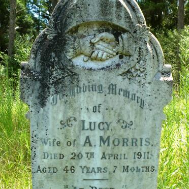 MORRIS Lucy -1911