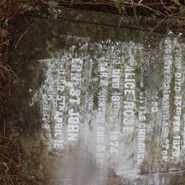 REILLY Patrick -1879 :: REILLY Alice Rose -1874 :: REILLY Ernest John -1877