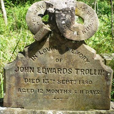 TROLLIP John Edwards -1880