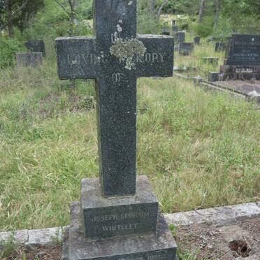 WHITELEY Joseph Ephraim 1861-1944 &amp; Agnes Judith 1865-1952