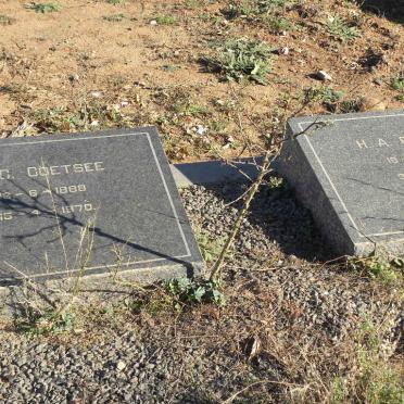 COETSEE D.C 1888-1970 &amp; H.A. 1892-1970