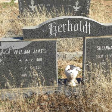 HERHOLDT William James 1918-1982 &amp; Susanna Maria STEENEKAMP 1909-