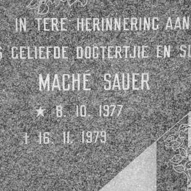 SAUER Maché 1977-1979