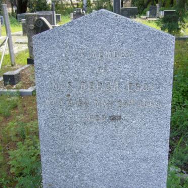 BERGH M.S. -1868