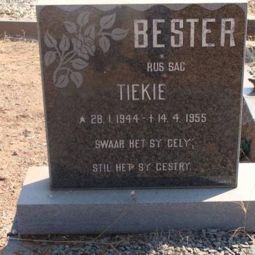 BESTER Tiekie 1944-1955