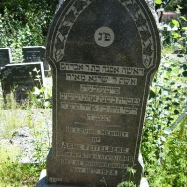 FEITELBERG Asne 1866-1928
