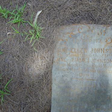 JOHNSON Jane Ellen 1889-1899