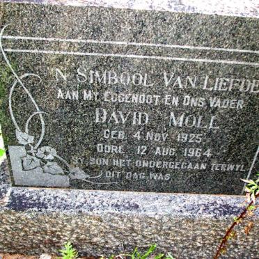 MOLL David 1925-1964
