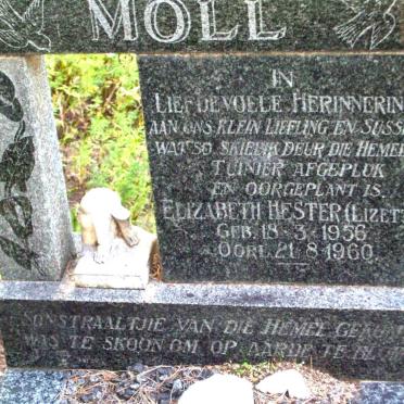 MOLL Elizabeth Hester  1956-1960