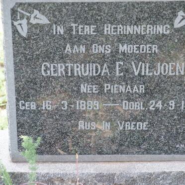 VILJOEN Gertruida E. nee PIENAAR 1889-1963