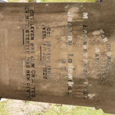 WALT Johannes Lodewikus, v.d. 1868-1926