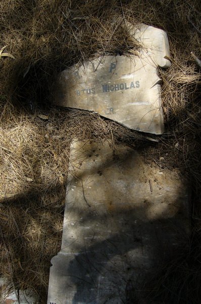 ? Albertus Nicholas