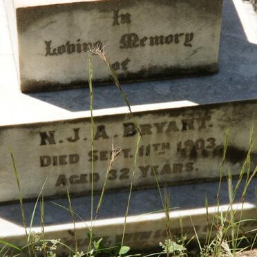 BRYANT N.J.A. -1903