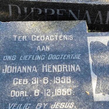 DIPPENAAR Johanna Hendrina 1958-1958