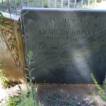 GOLDMAN Charles Sidney 185?-185?