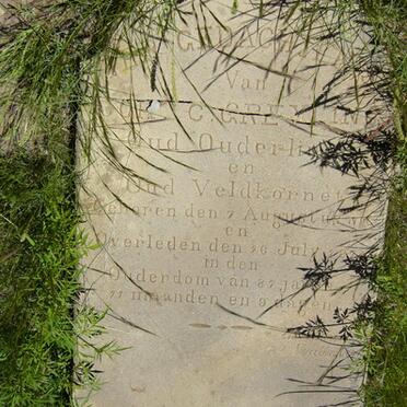 GREYLING J.C. 1806 -1879