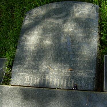 HATTINGH Willem Hendrik Jacobus 1877-1956 &amp; Maria Magdalena DE BRUIN 1875-1946