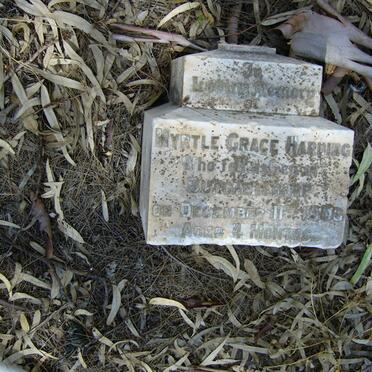 HARDING Myrtle Grace -1906