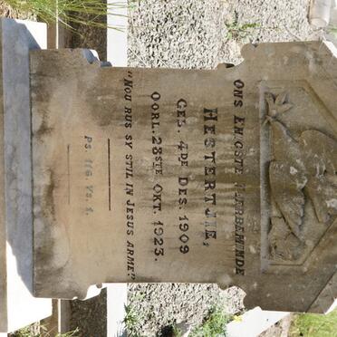 SLEBUSCH Hestertjie 1909-1923