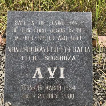 AYI 1934-2000