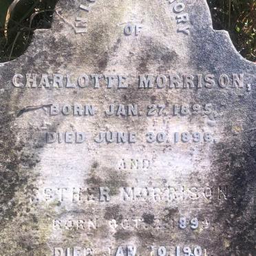 MORRISON Charlotte 1895-1896 :: MORRISON Esther 1899-1901