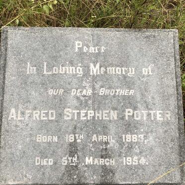 POTTER Alfred Stephen 1883-1954