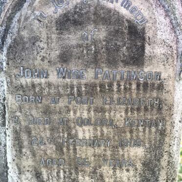 PATTINSON John Wise -1908