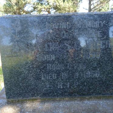 WIGGILL ? 1890-1959
