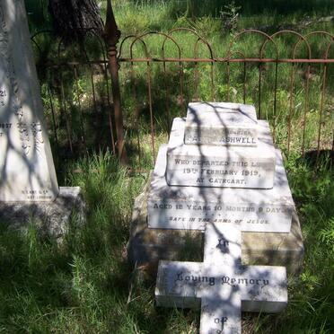 ASHWELL Pattie -1919