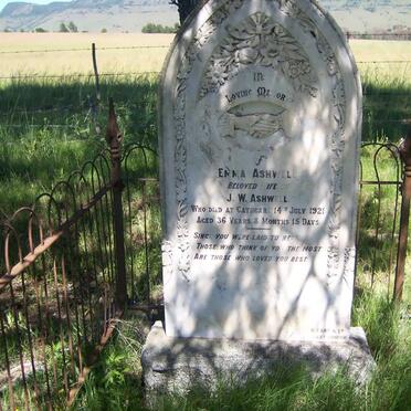 ASHWELL James William -1942 &amp; Emma -1921 :: ASHWELL Pattie -1919