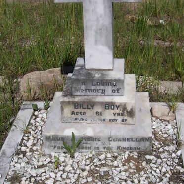 CONNELLAN Billy Boy