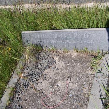 MEYER Willem Johannes 1884-1965