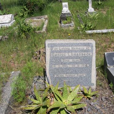 SHARROCK Eunice I. nee NASH 190?-1934