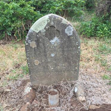 WEAVER Annie Mary -1882