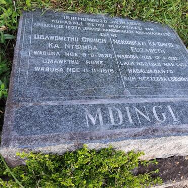 MDINGI Umawethu Rose 1918- :: MDINGI Dbawowethu Crough Ka Ntsimba 1936- :: MDINGI Nekosikazi Ka David Elizabeth 1951-