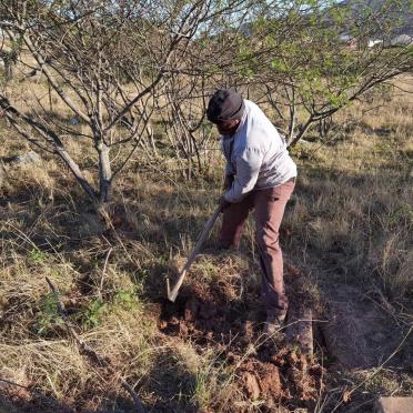6. Repairing graves