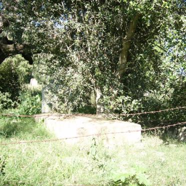 1. Overview