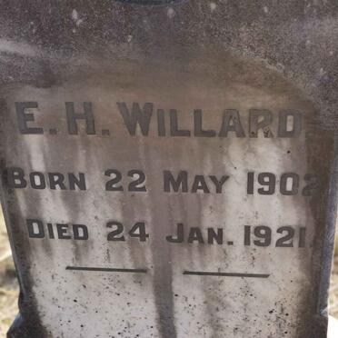 WILLARD E.H. 1902-1921