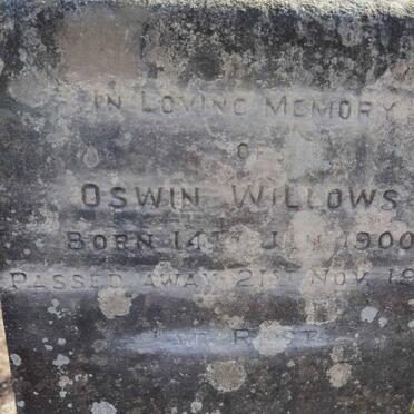 WILLOWS Oswin 1900-1932