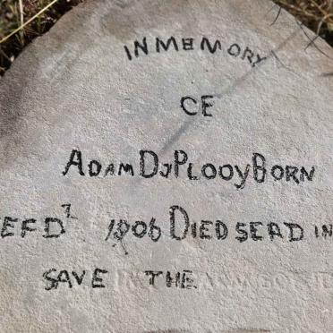 PLOOY Adam, du 1906-1906