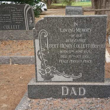 COLLETT Albert Henry 1871-1961