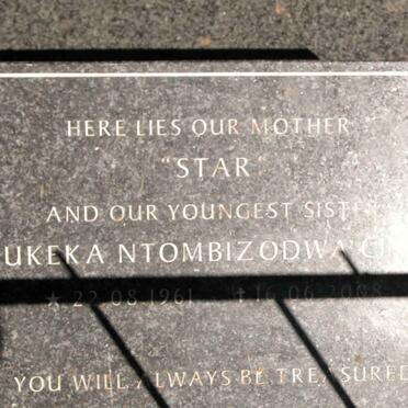 ? Bukeka Ntombizodwa 1961-2008
