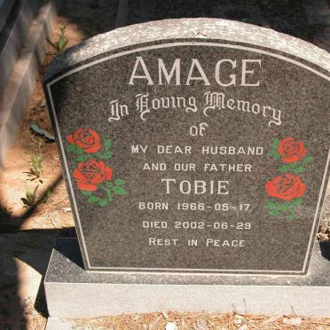 AMAGE Tobie 1966-2002