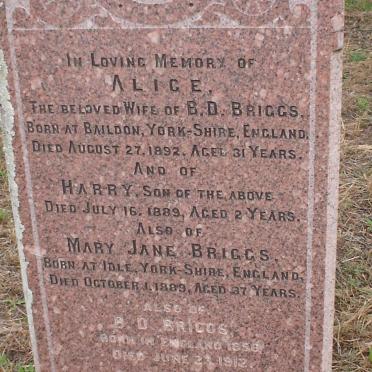 BRIGGS B.D. 1856-1912 &amp; Alice -1892 :: BRIGGS Harry -1889  :: BRIGGS Mary Jane -1889