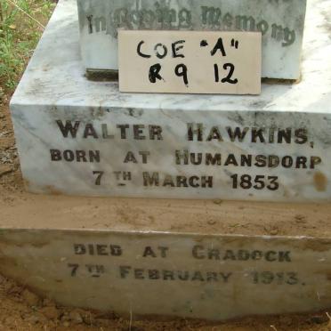 HAWKINS Walter 1853-1913