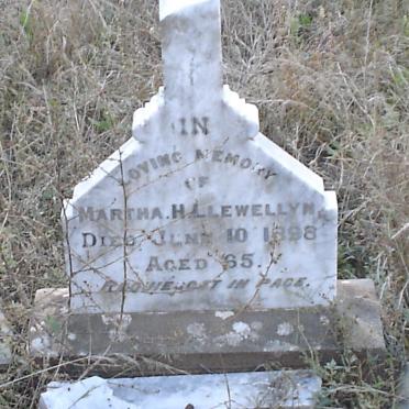 LLEWELLYN Martha H. -1898