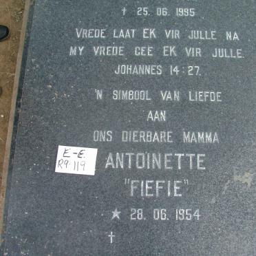 LEONARD Willem Petrus 1948-1995 &amp;  Antoinette 1954- 