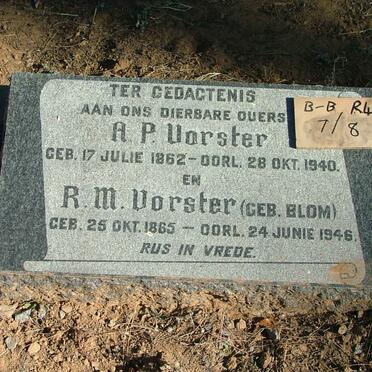 VORSTER A.P. 1862-1940 &amp; R.M. BLOM 1865-1946
