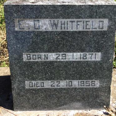 WHITFIELD E.C. 1871-1956